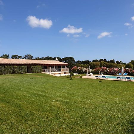 Villa Agliado Platamona Exterior foto